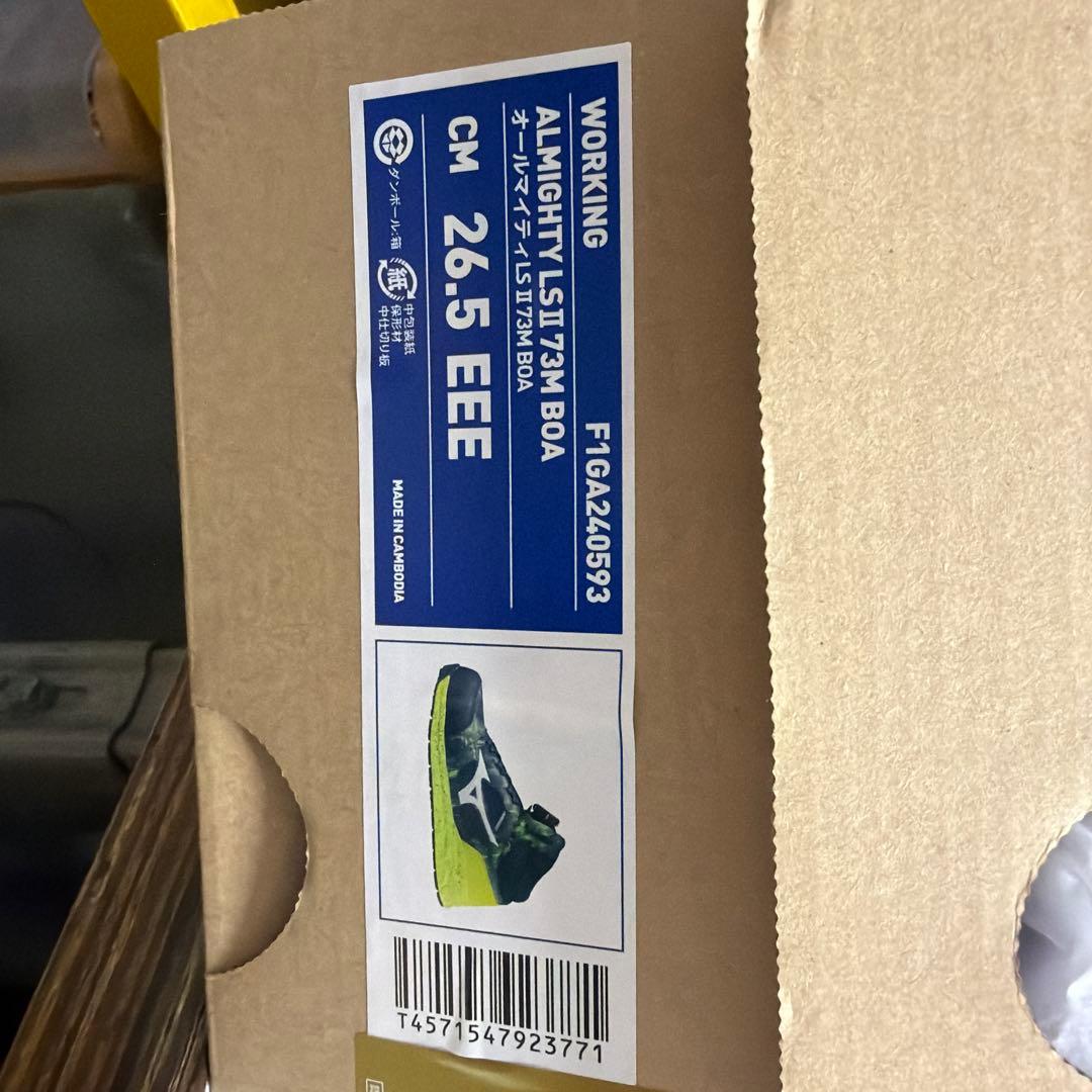 オールマイティ LSII 73 M BOA 26.5cm 限定カラー