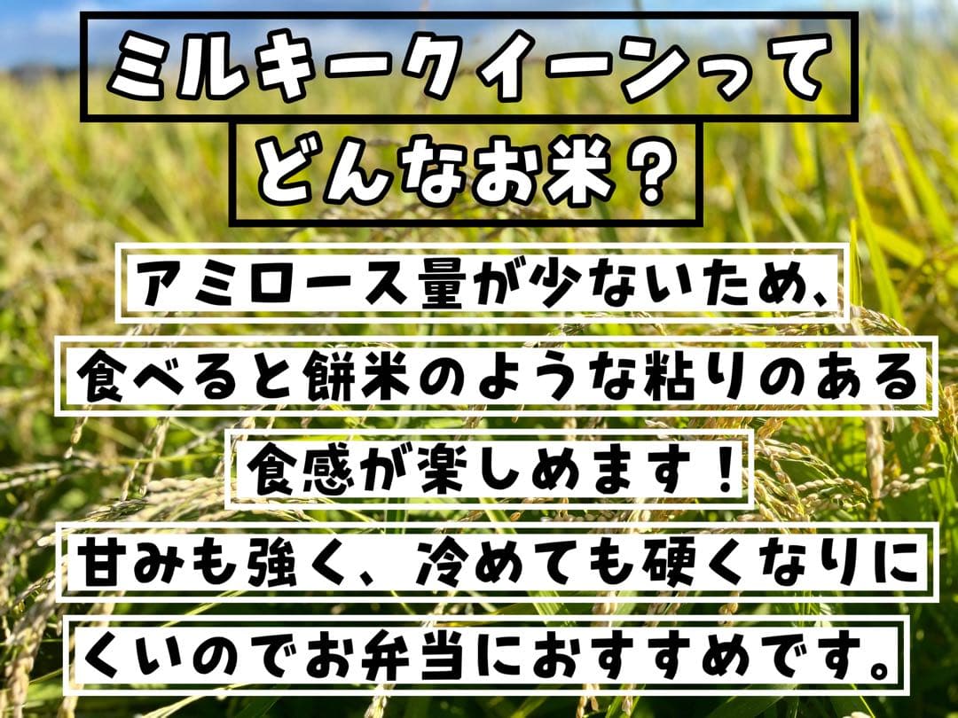 【令和7年度新米】近江米 ミルキークイーン 5kg +にじのきらめき5kg