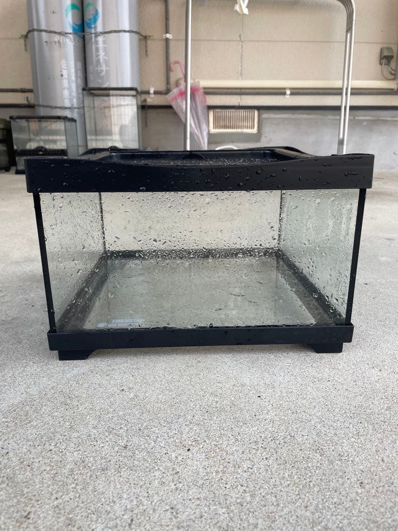 torau-　グラステラリウム3045　ヒュドラケース3120