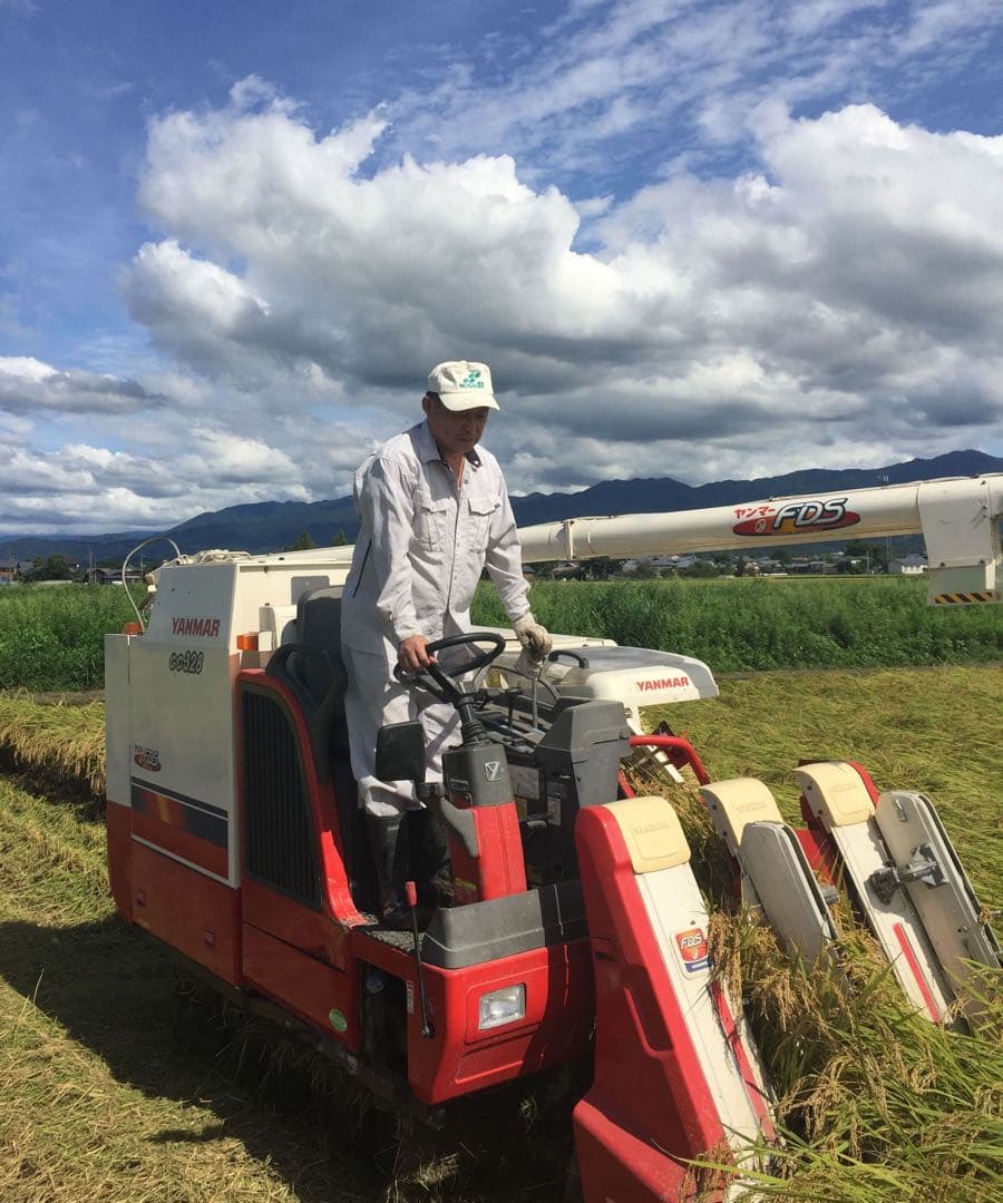 【無洗米】令和7年産　新潟　新之助　白米5kg × 2個★農家直送★色彩選別済