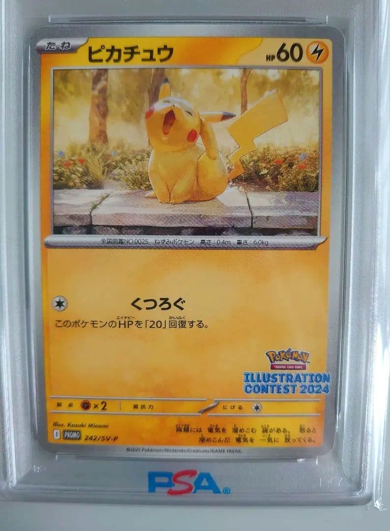 ピカチュウ 242/SV-P ILLUSTRATIONCONTES 2024