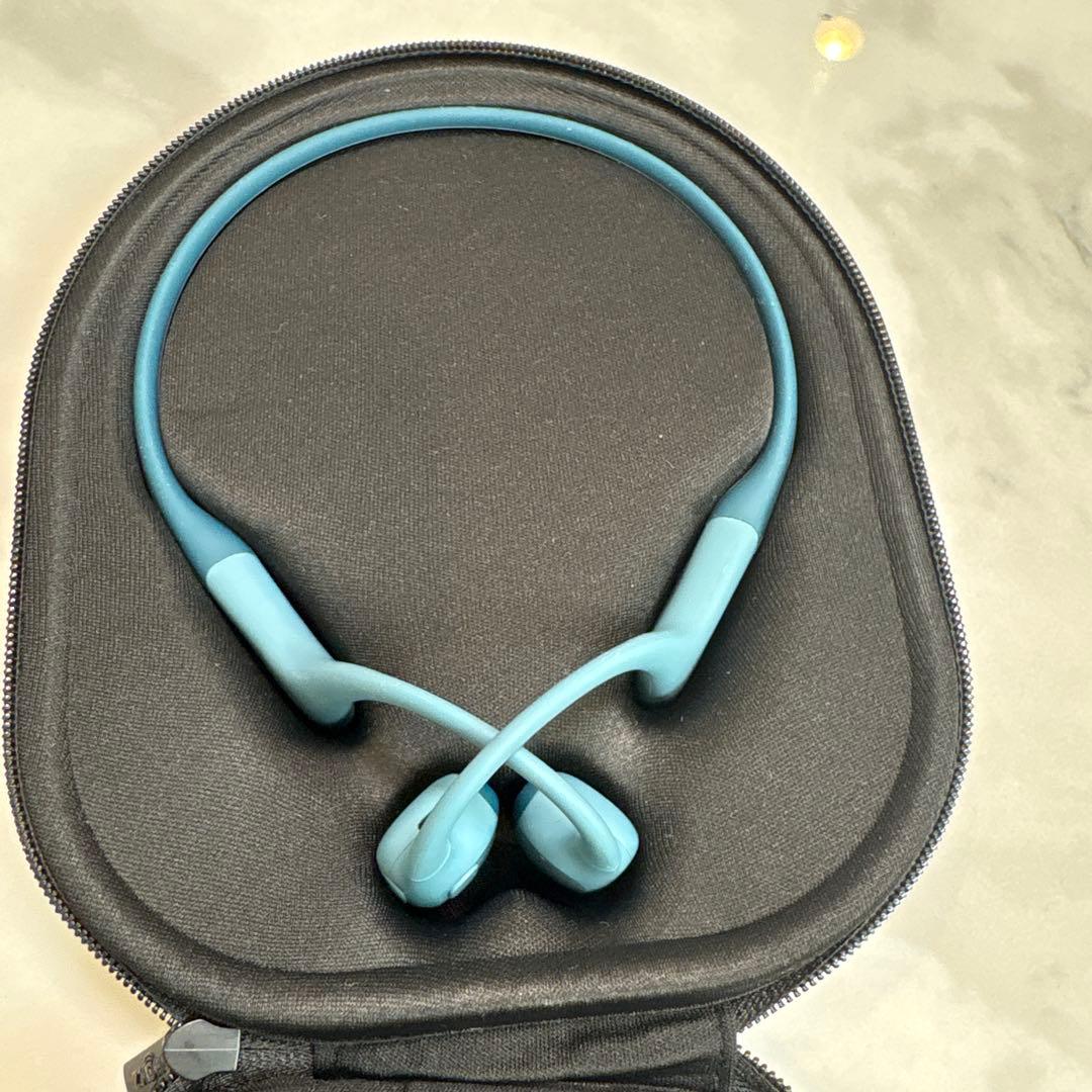 イヤホン SHOKZ OPENRUN PRO s810