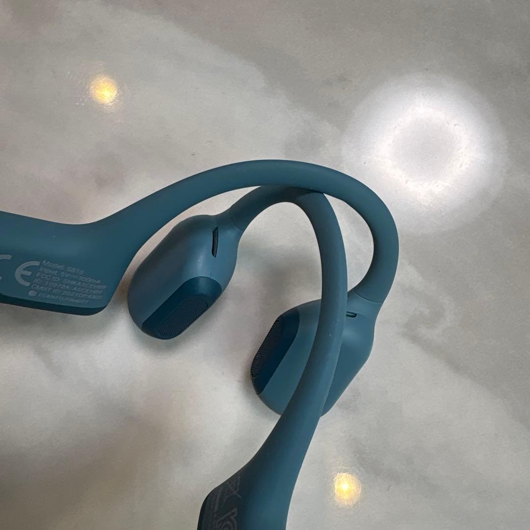 イヤホン SHOKZ OPENRUN PRO s810