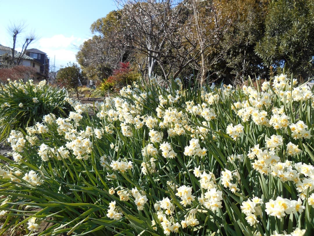 実写美⭕️【動作確認済】Nikon COOLPIX S3500 ブルー　デジカメ