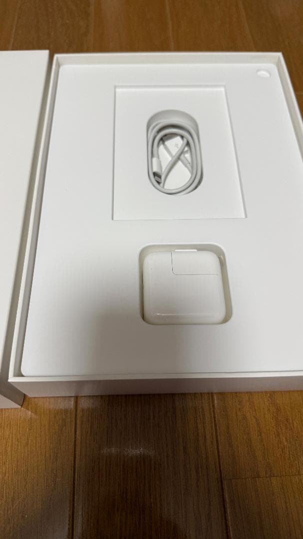 Apple iPad Pro 9.7インチ 256GB Cellular