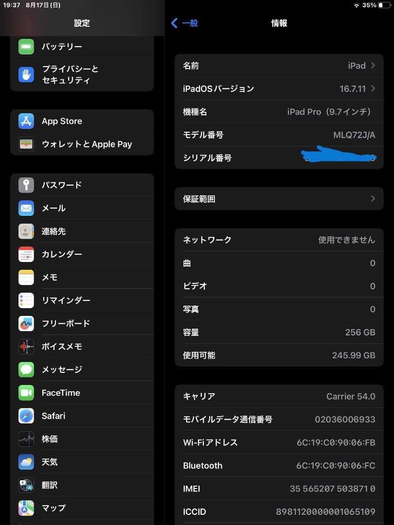 Apple iPad Pro 9.7インチ 256GB Cellular