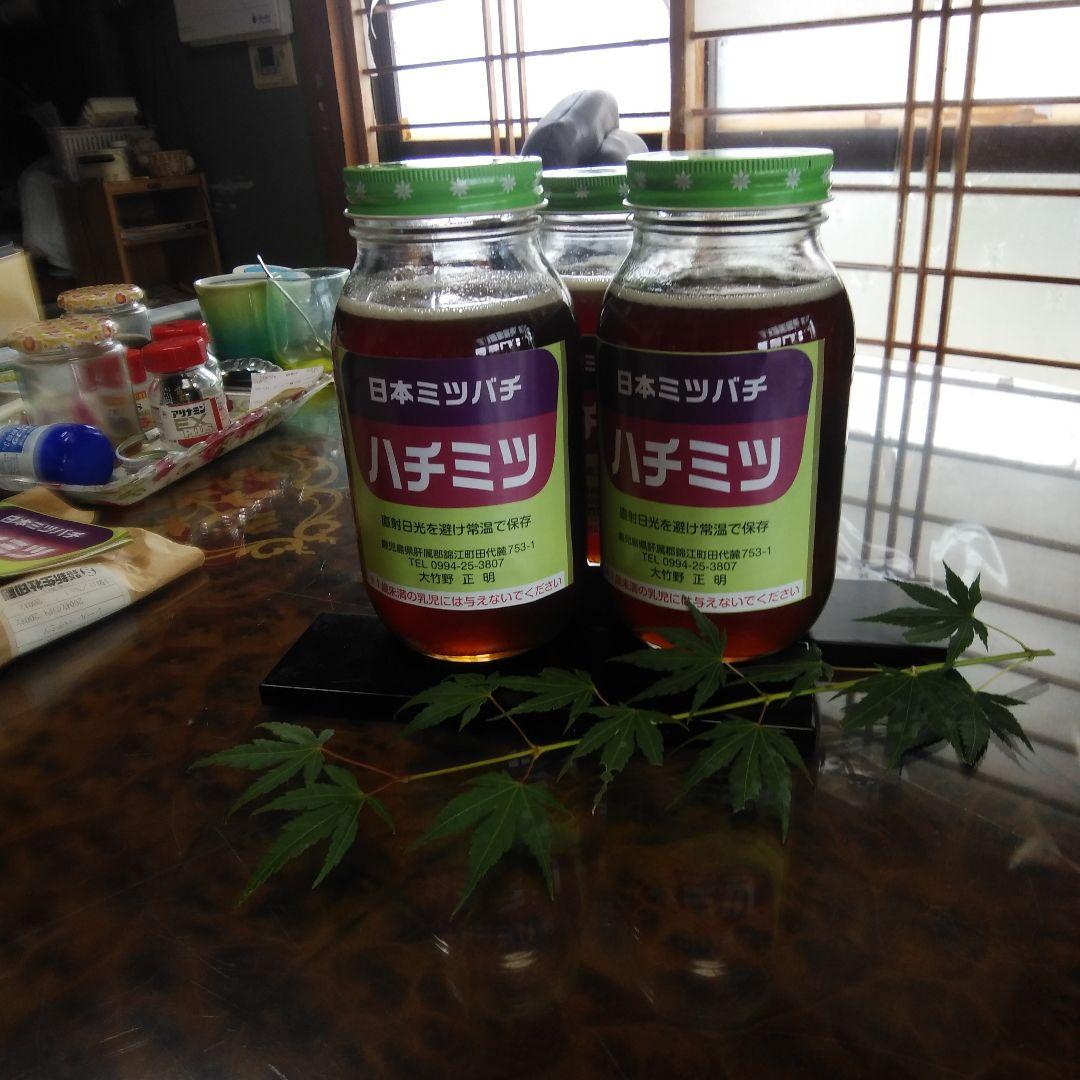 日本ミツバチのハチミツ瓶入り