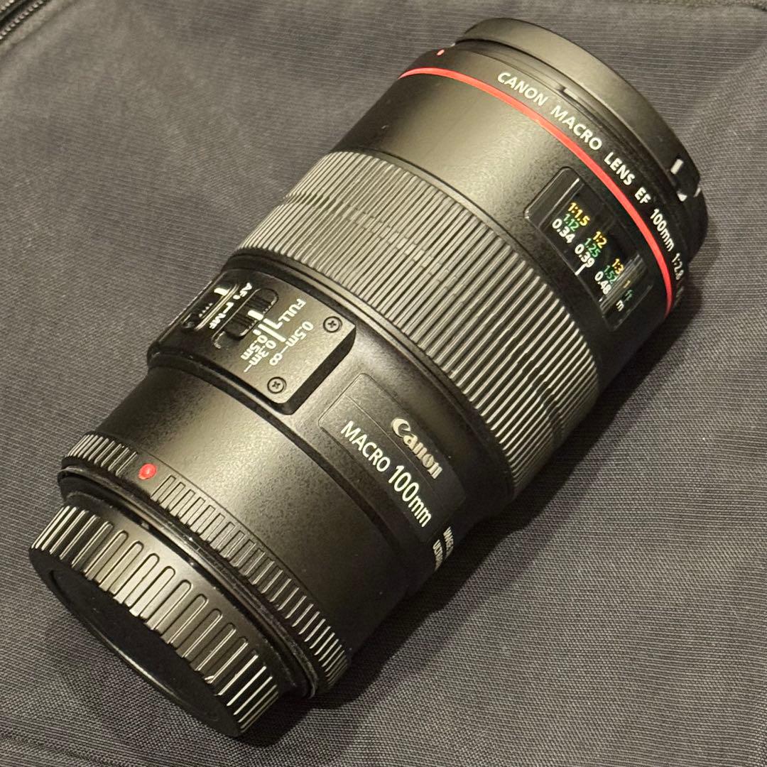 レンズ(単焦点) Canon EF 100mm macro