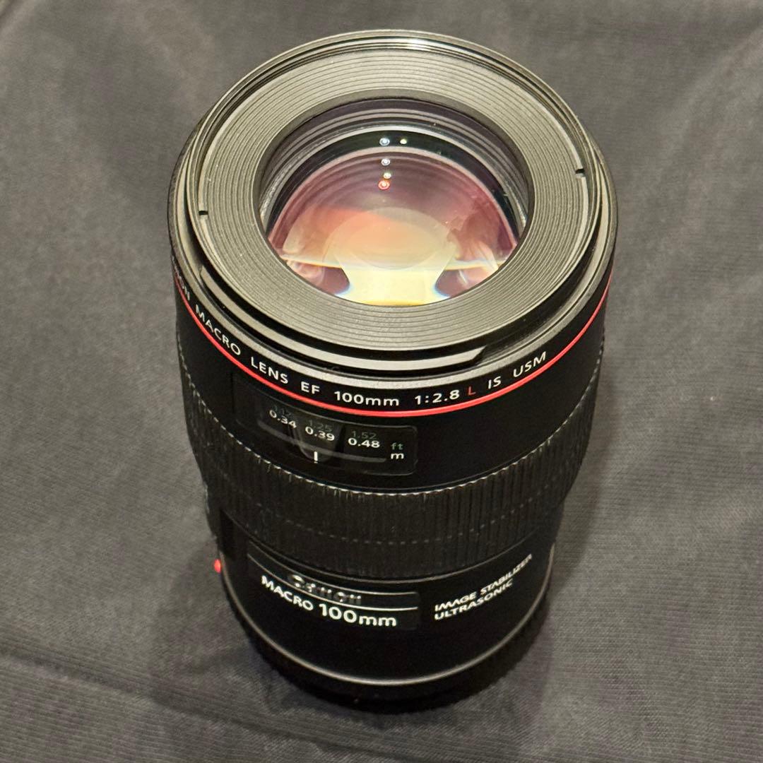 レンズ(単焦点) Canon EF 100mm macro