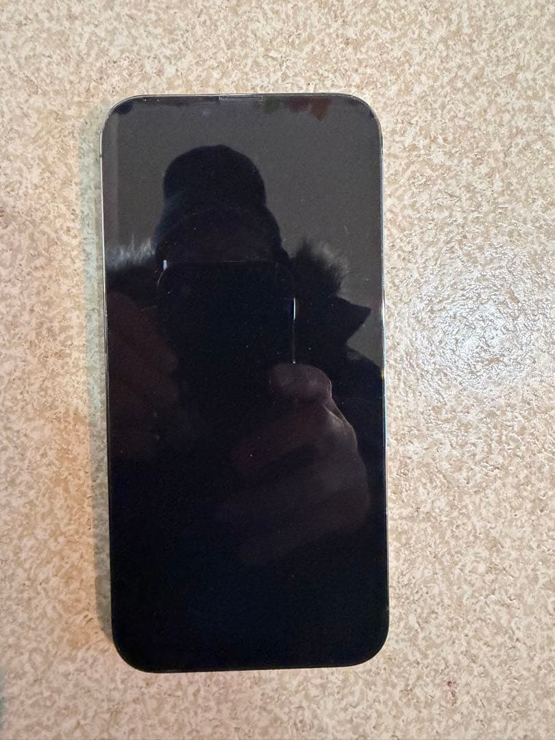 Apple iPhone 13 Pro Max 128GB カメラ0.5倍不可