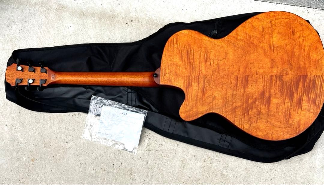 ARIA FET-F2　/アリア　エレアコ