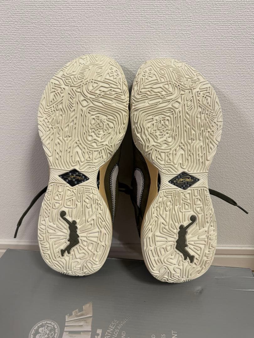 LEBRON XX EP レブロン20 新品未使用　NIKE バッシュ　ナイキ