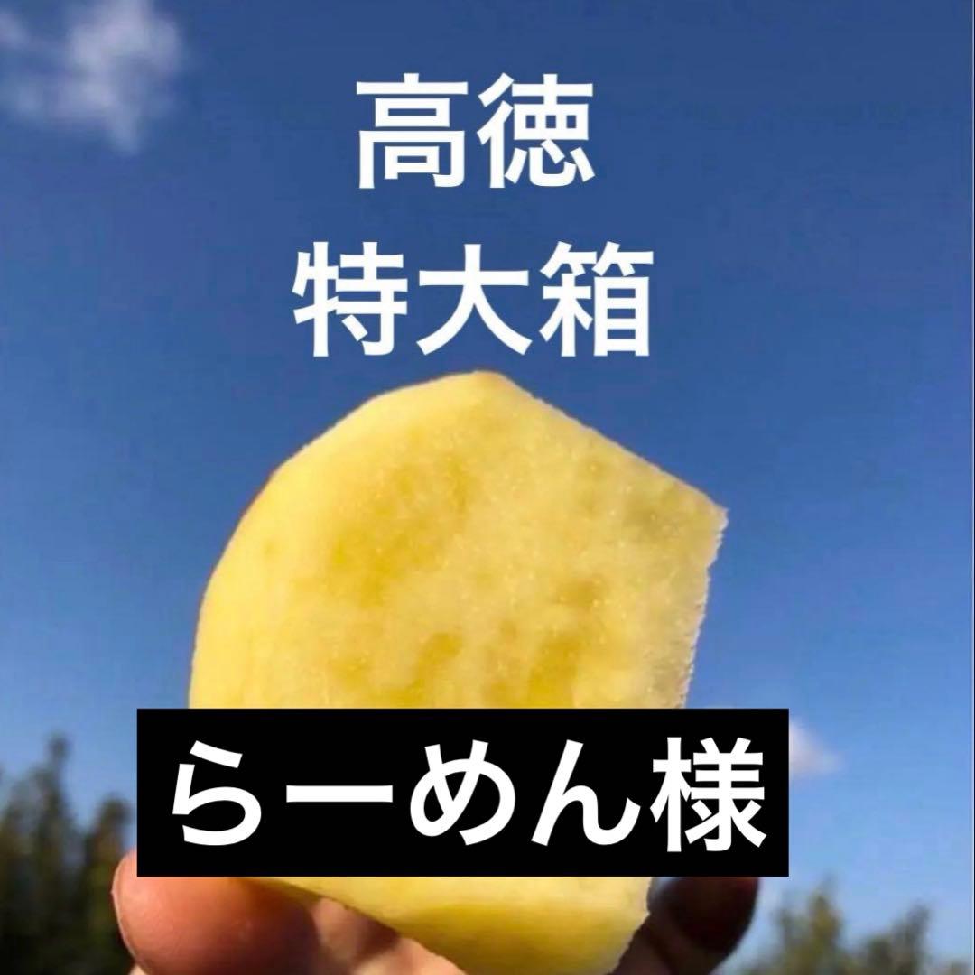 12/19発送 ◆特大箱◆ 幻の林檎　高徳　希少りんご　青森県産　クロネコ便