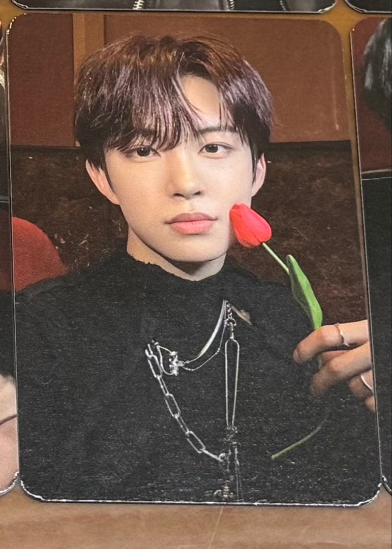 ALD1 ゴヌ　サノク　トレカ