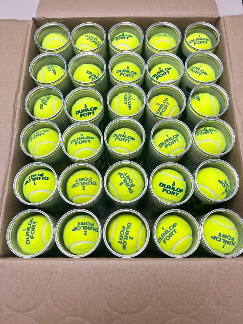 ダンロップフォート120球　中古品　NO1