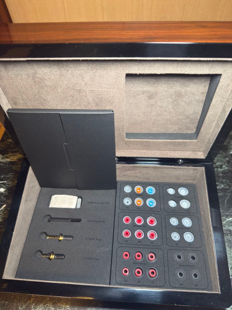 fiio インイヤー型イヤホン FDX