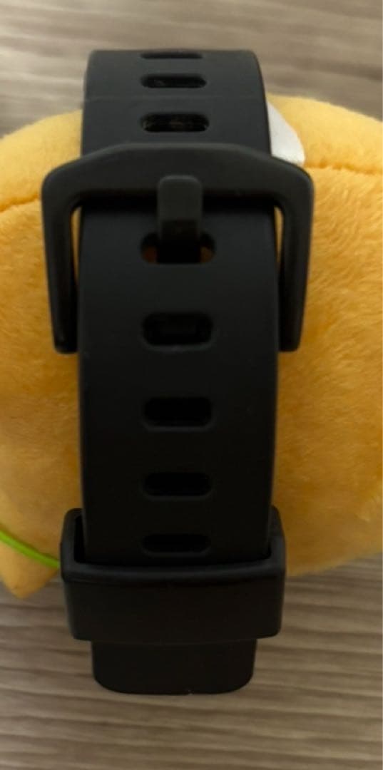 カツオ 　CASIO 電波ソーラーPROTREK プロトレック 3444