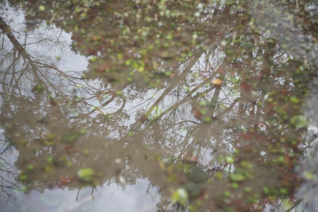 Helios44-2 58mm f2 M42 Zeissの銘玉Biotarコピー