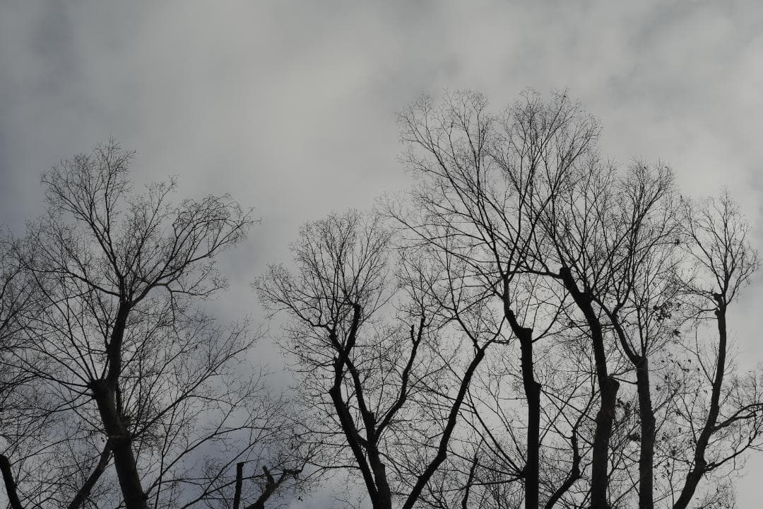 Helios44-2 58mm f2 M42 Zeissの銘玉Biotarコピー