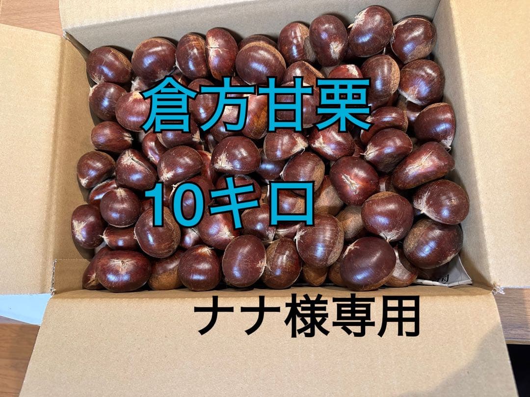茨城県産　生栗　倉方甘栗　10キロ