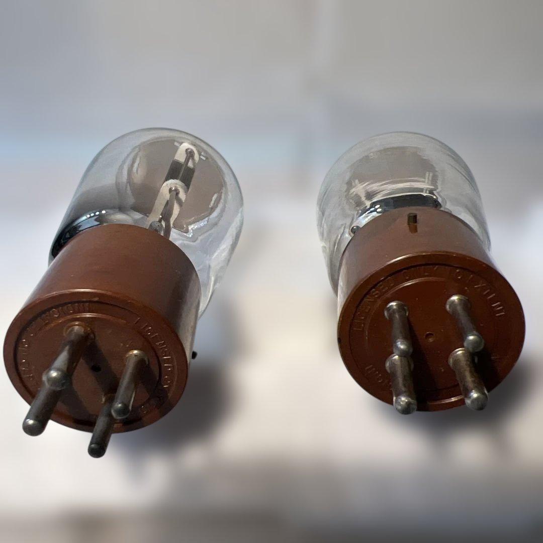 真空管Taylor VT-62 2本組