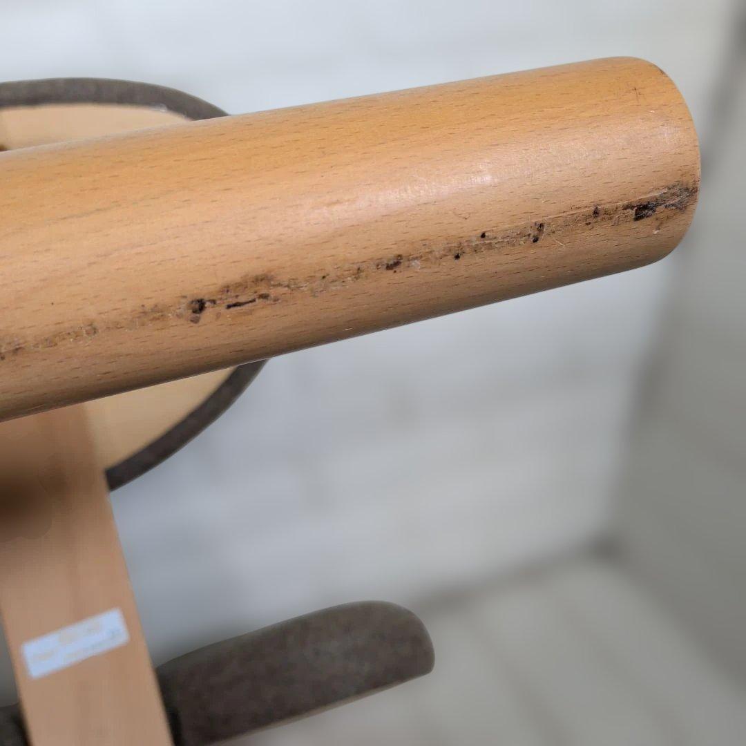 ①Rybo社製 Balans®EASY バランスイージーチェア