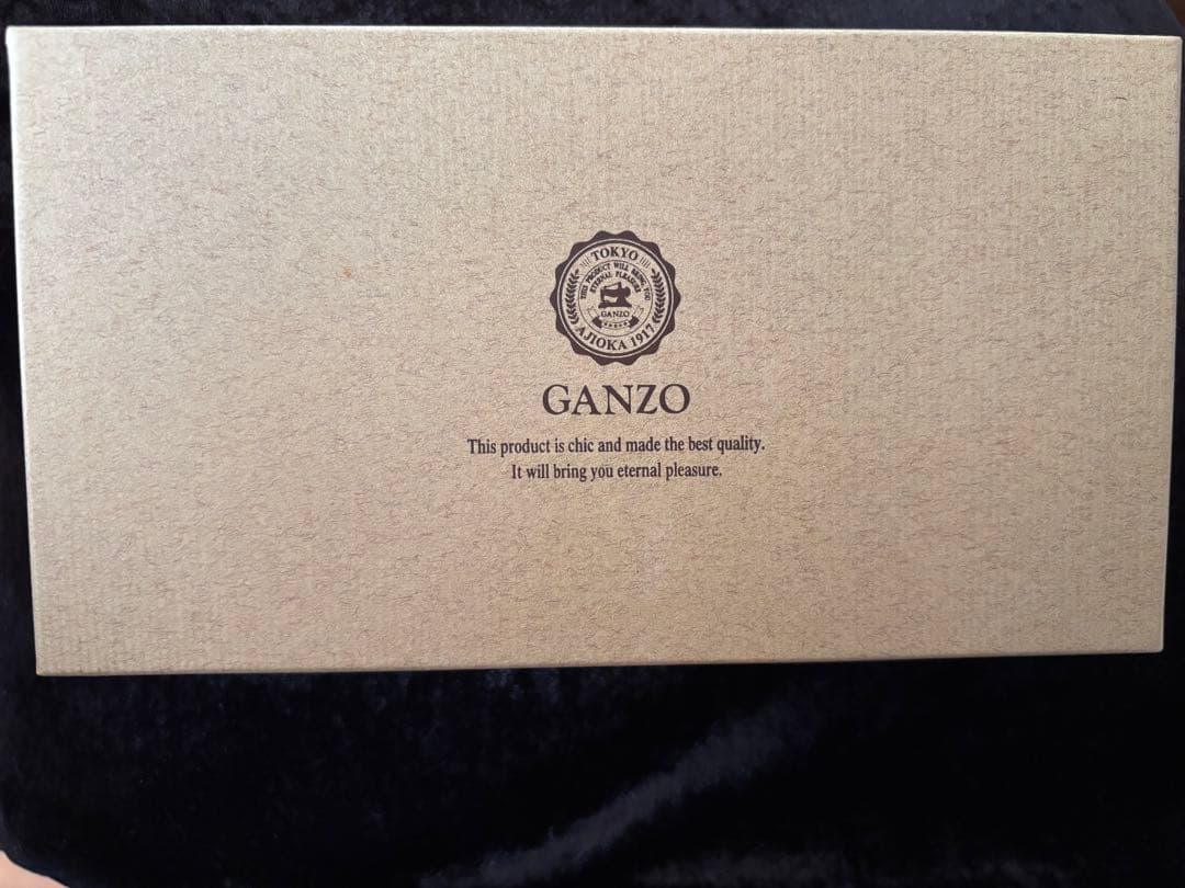 GANZO MAESTOR2(マエストロ2)メガネケース　ワイン