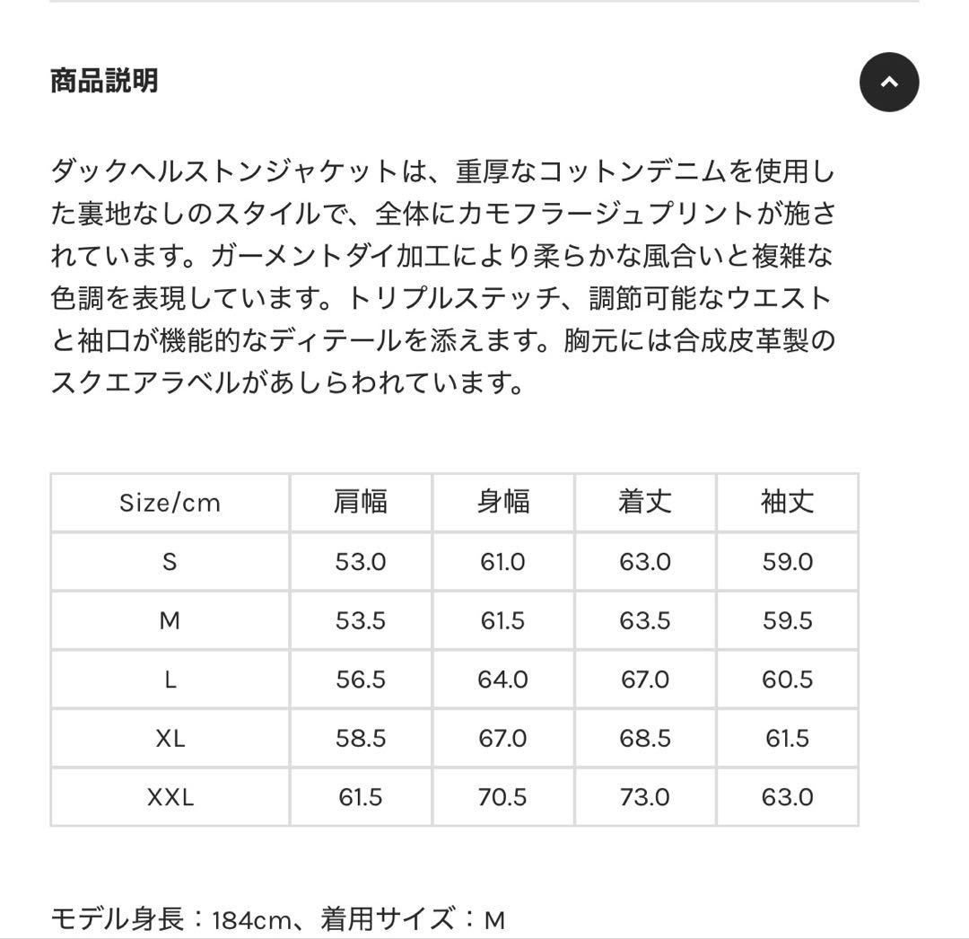 Carhartt WIP DUCK JACKET (KEIJU着用)