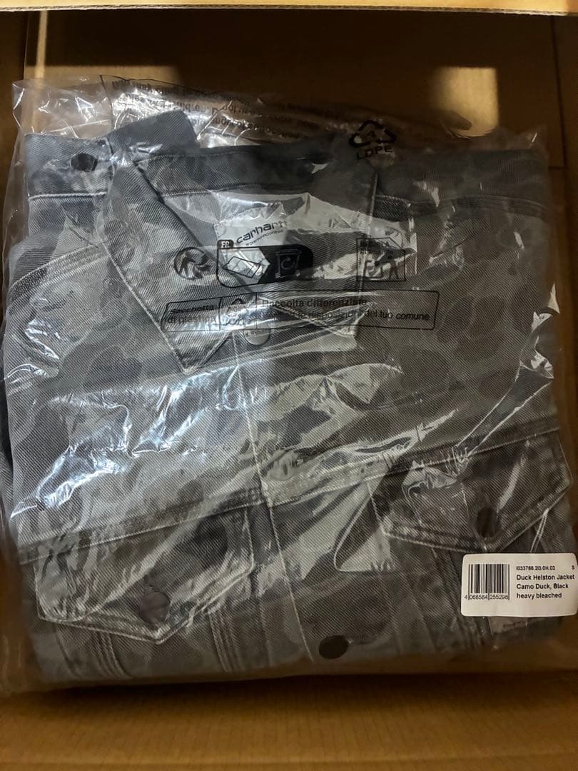 Carhartt WIP DUCK JACKET (KEIJU着用)