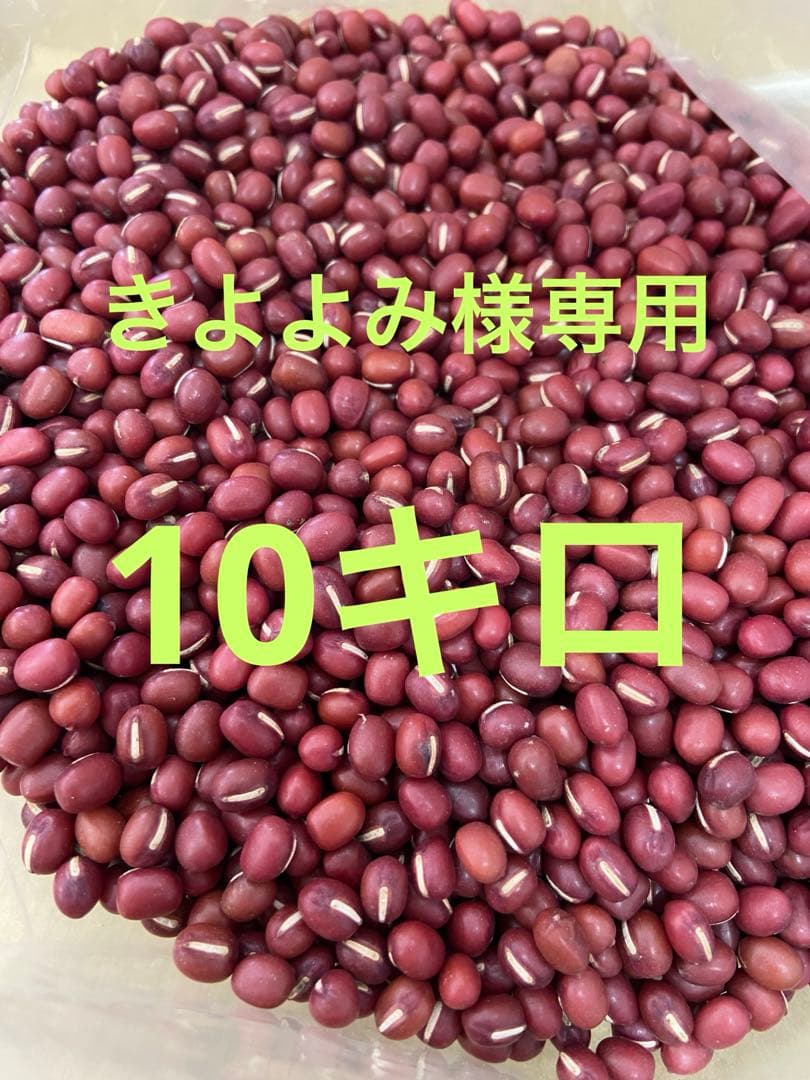 Ｒ７北海道石狩市産あかね大納言小豆10キロ