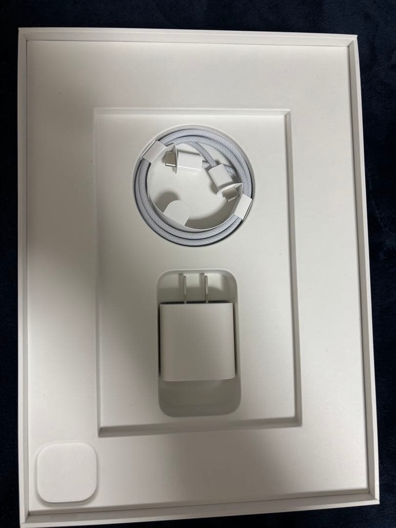 Apple iPad Pro 11インチ シルバー 本体　本日値下げ