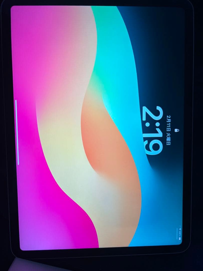 Apple iPad Pro 11インチ シルバー 本体　本日値下げ