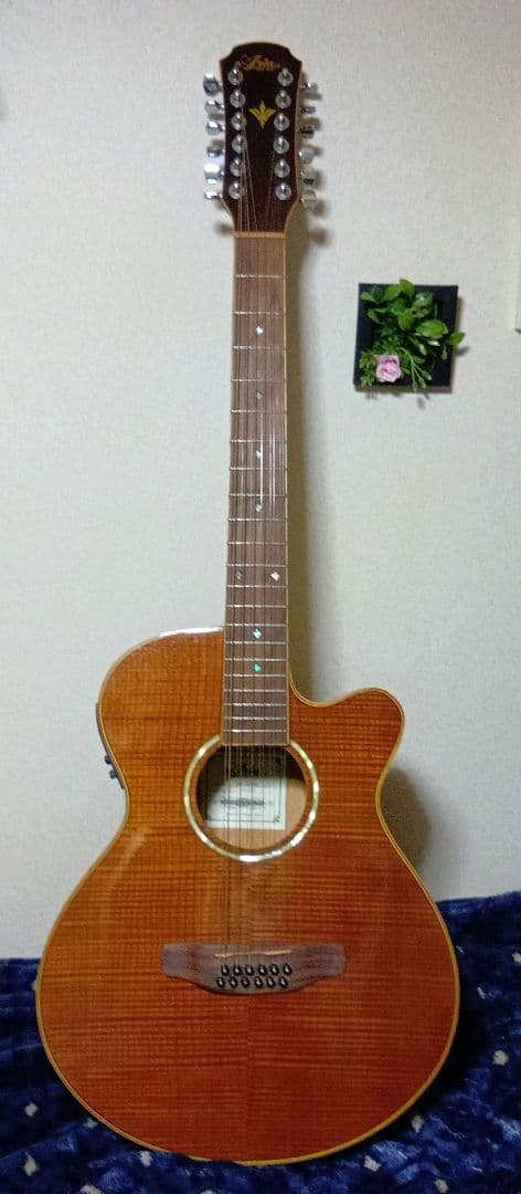 アリア12弦FET−12SPLエレアコステックギター