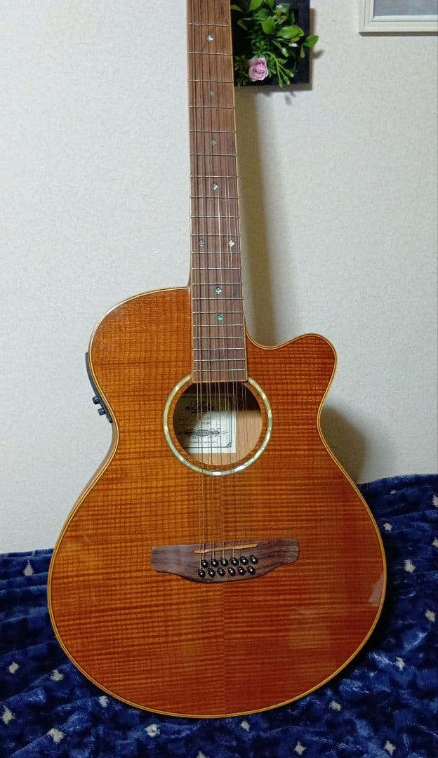 アリア12弦FET−12SPLエレアコステックギター