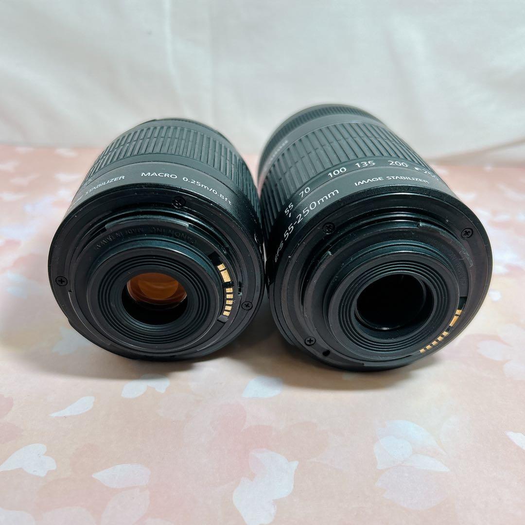 Canon EOS Kiss X5 レンズ2本セット 取説 キャノン 一眼レフ