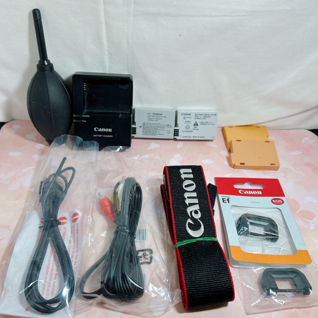 Canon EOS Kiss X5 レンズ2本セット 取説 キャノン 一眼レフ