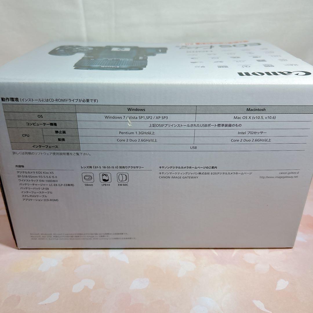 Canon EOS Kiss X5 レンズ2本セット 取説 キャノン 一眼レフ