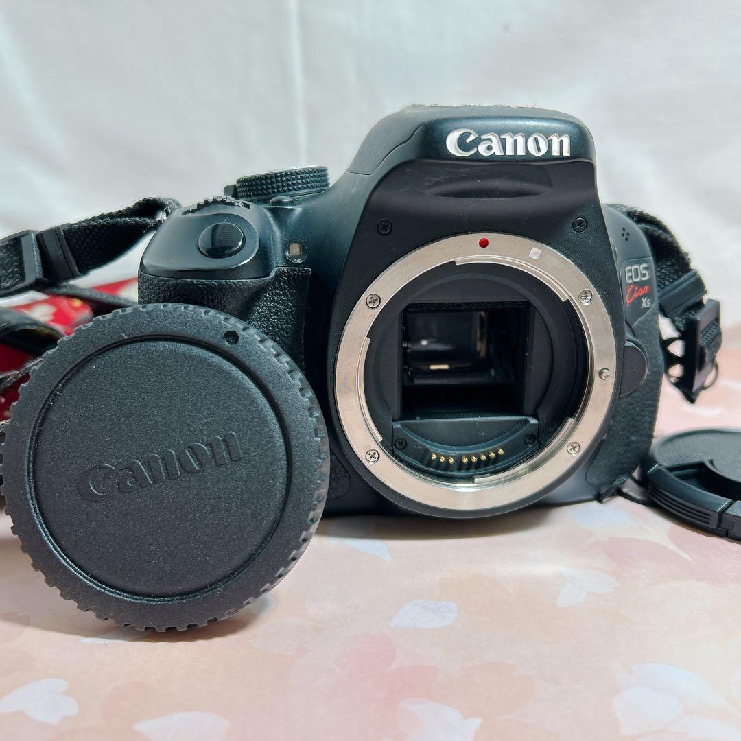 Canon EOS Kiss X5 レンズ2本セット 取説 キャノン 一眼レフ