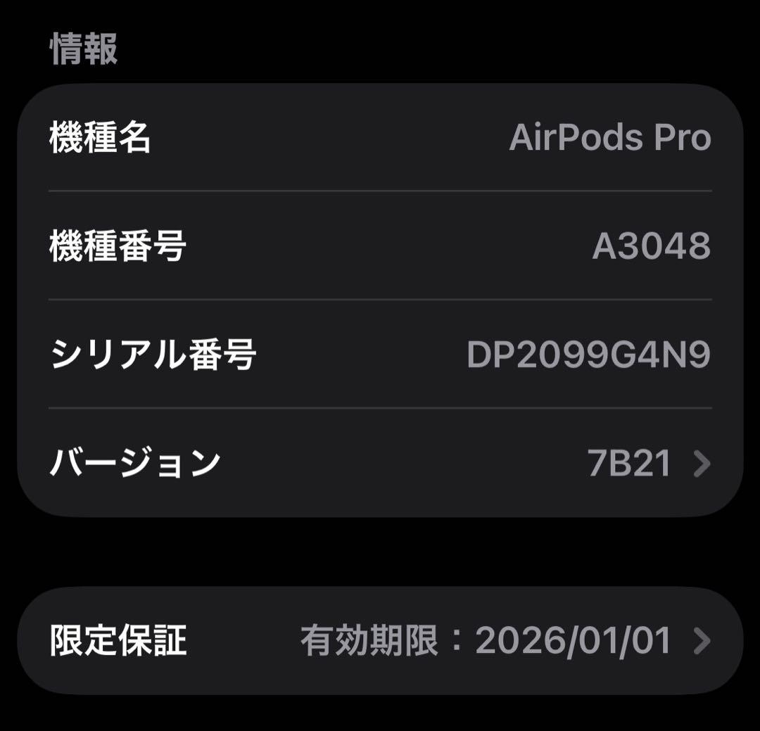 AirPods Pro2 USB-C おまけ付き