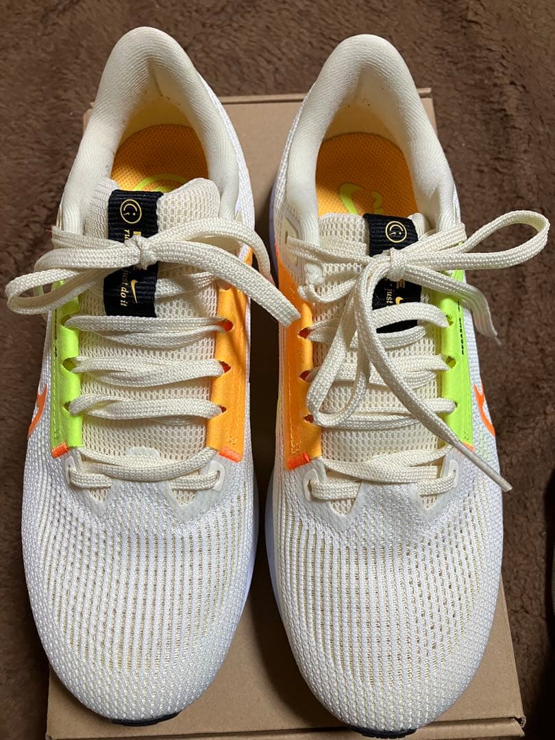 ナイキ　ペガサス40 【25cm】