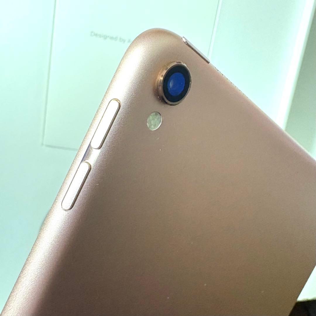 Apple iPad Pro 10.5インチ ローズゴールド 64GB カバー