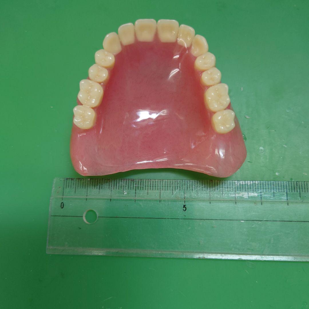 たむ　歯科技工　総義歯　5床