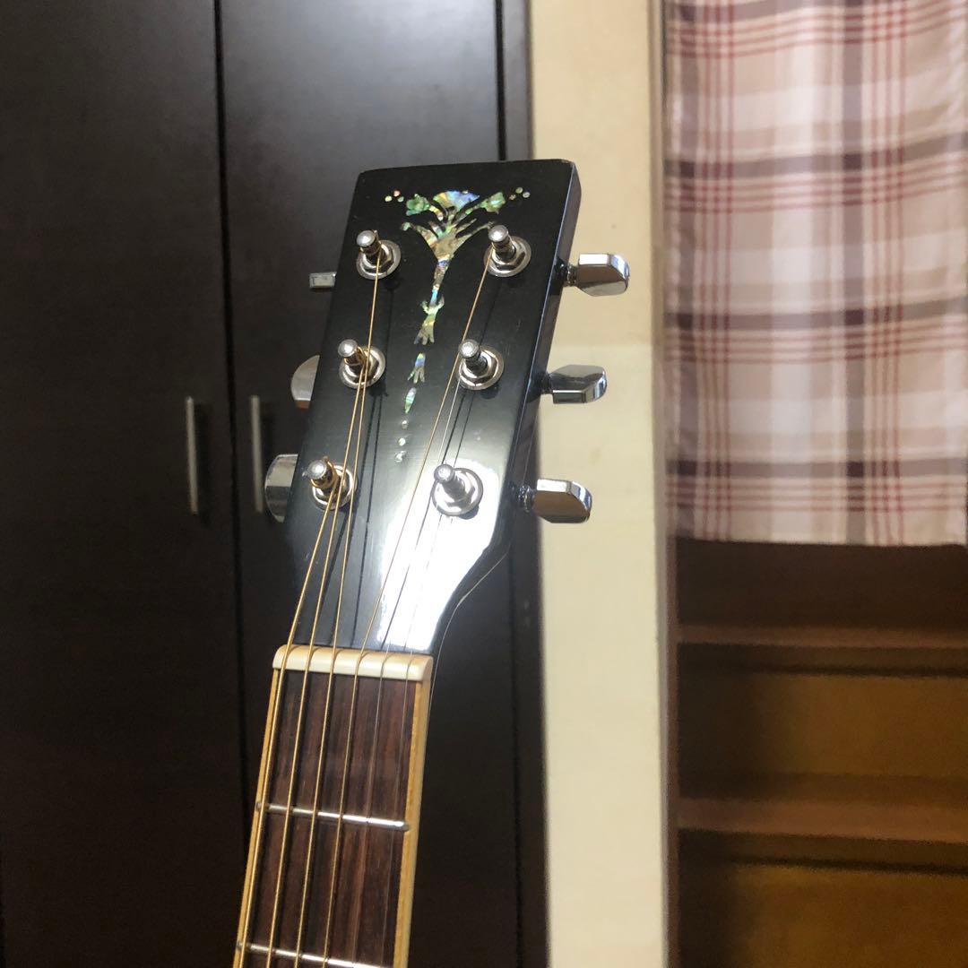アコースティックギター ブラック 6弦