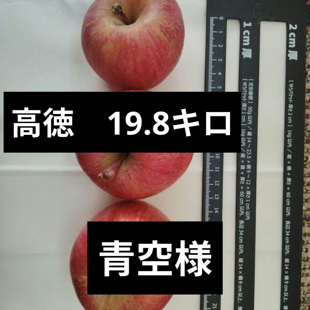 高徳りんご　約19.8キロ　クロネコ発送　運賃の関係で20キロ以内