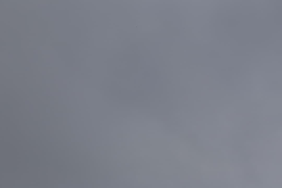 Canon EF 100mm f/2.8 macro USM (フィルター付き)