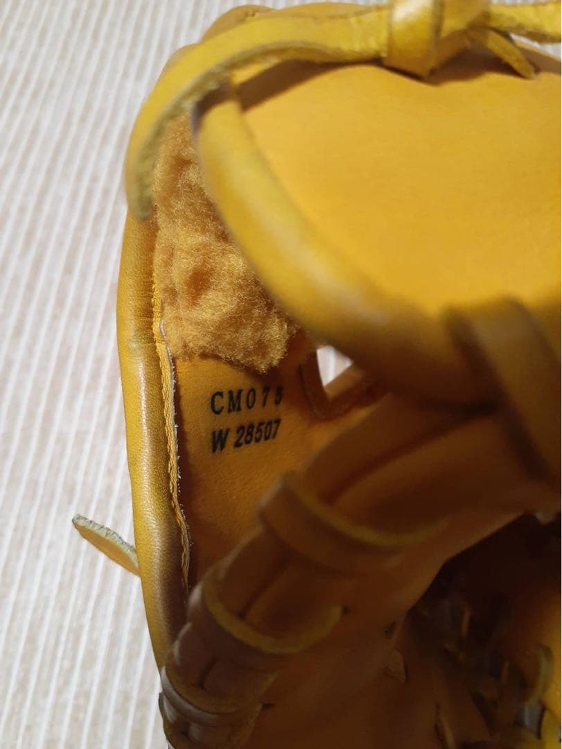 最終値下げミズノプロ硬式外野用グローブ左投げ