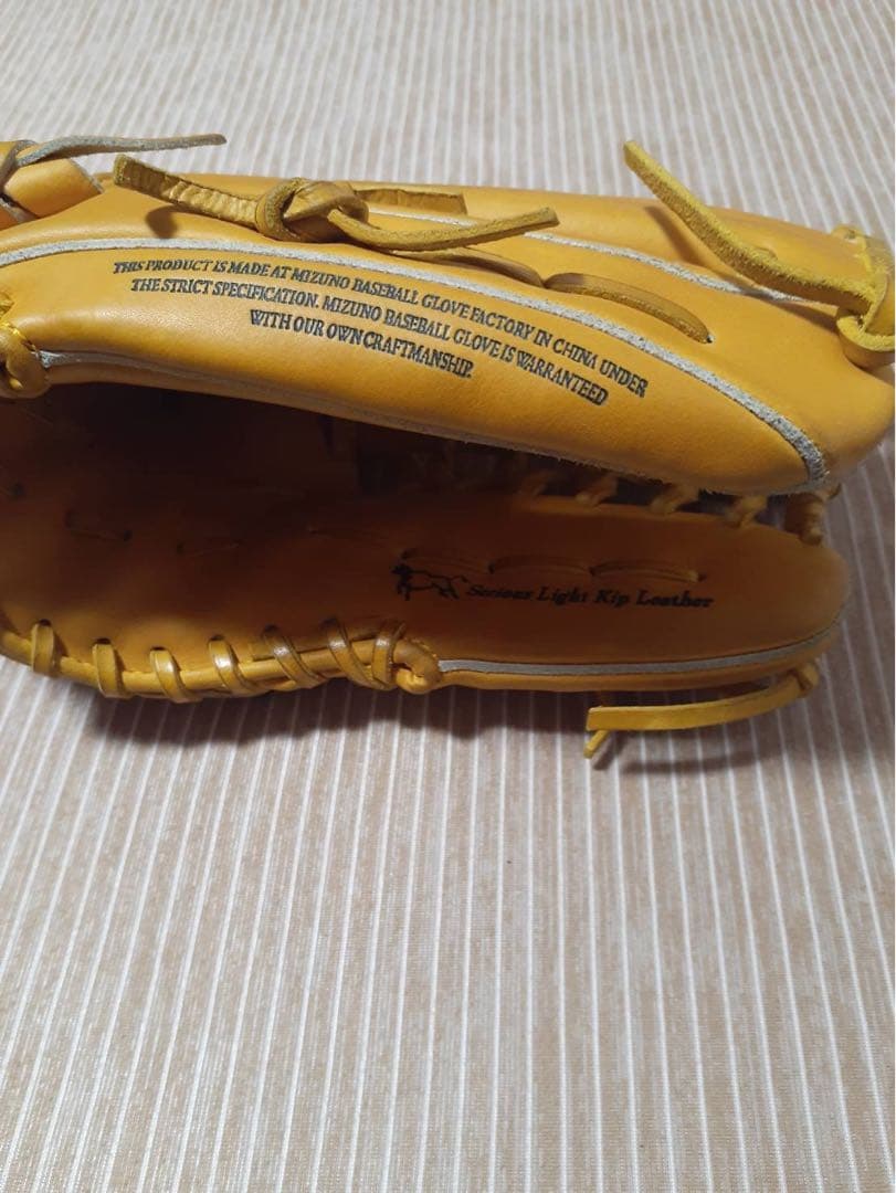 最終値下げミズノプロ硬式外野用グローブ左投げ