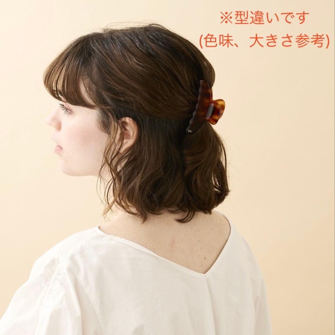 ALEXANDRE DE PARIS ヘアクリップ　Mサイズ