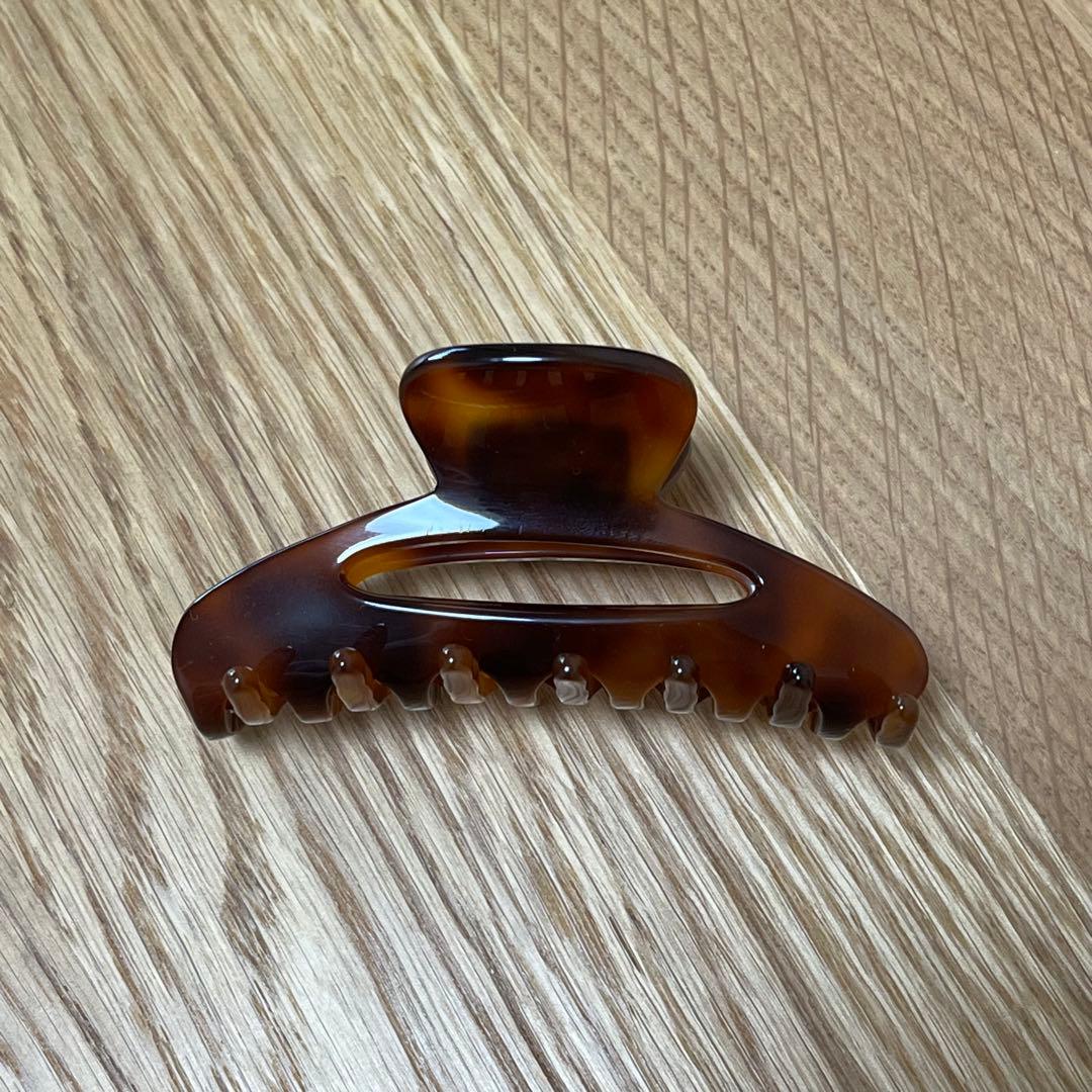 ALEXANDRE DE PARIS ヘアクリップ　Mサイズ