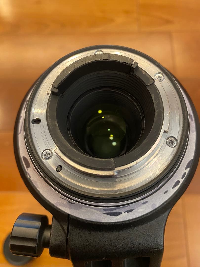 レンズ(ズーム) AF-S NIKKOR 200-500mm f/5.6E ED VR